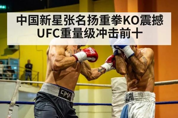 中国新星张名扬重拳KO震撼UFC重量级冲击前十